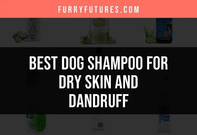 17 Best Dog Shampoos for Dry Skin and Dandruff