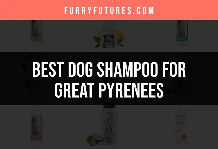 18 Best Dog Shampoos for Great Pyrenees Owners