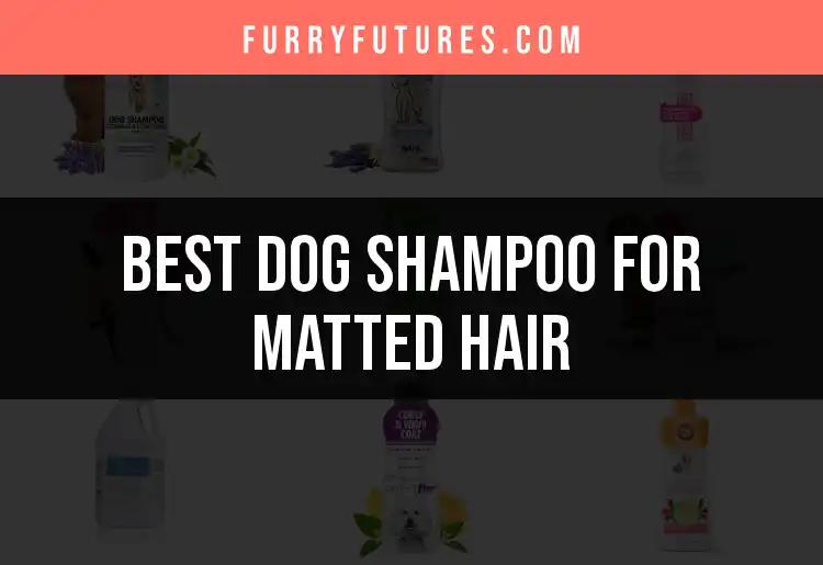 18 Best Dog Shampoos for Matted Hair You Need to Try