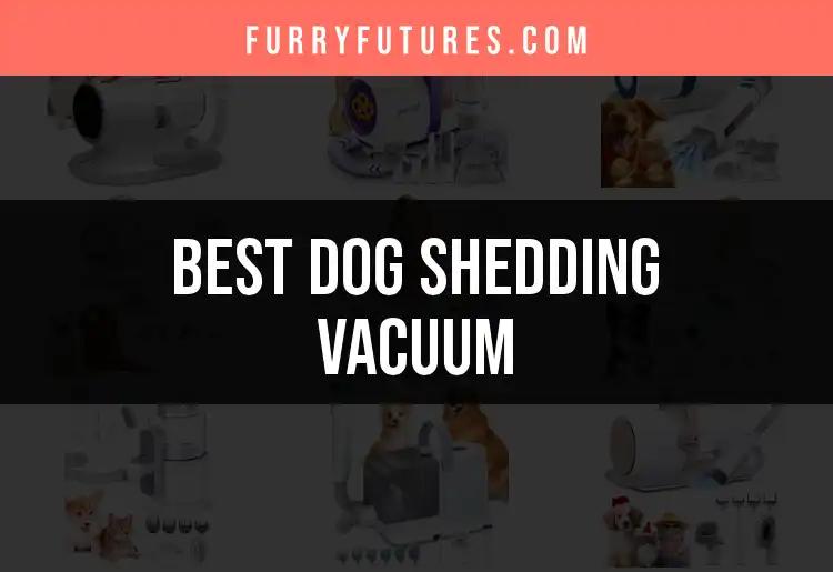 16 Best Dog Shedding Vacuums To Tackle Fur With Ease