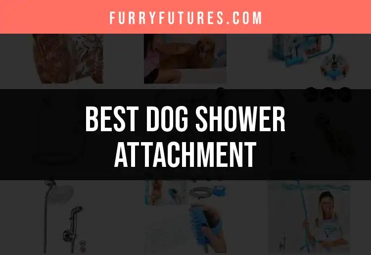 13 Must-Have Dog Shower Attachments for Easy Bath Time