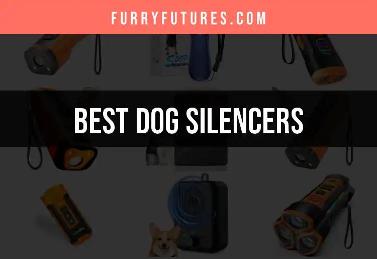 15 Best Dog Silencers for Peaceful Pooch Moments