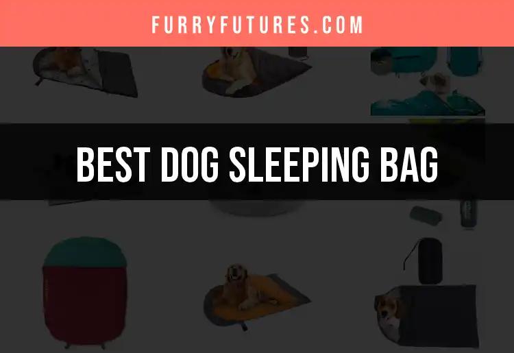 Top 10 Dog Sleeping Bags for Cozy Adventures