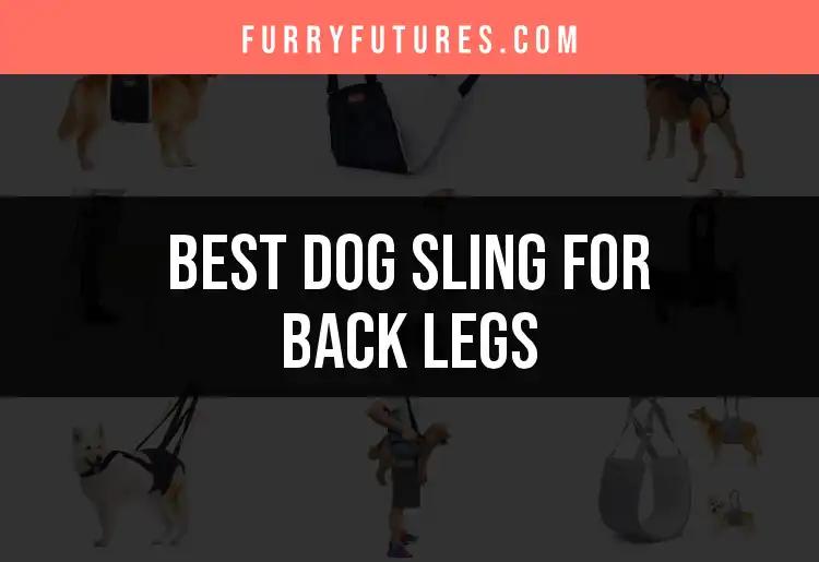 16 Top Dog Slings for Back Legs You Can Trust