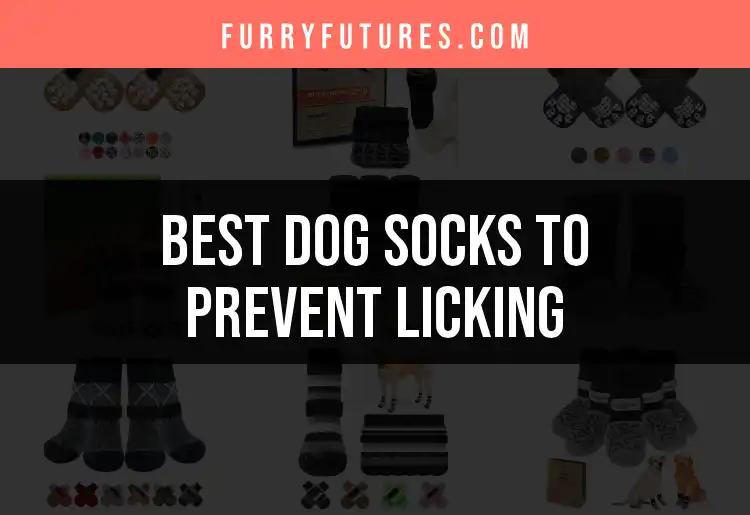 12 Top Dog Socks to Prevent Licking and Keep Paws Happy