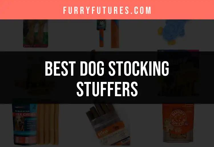 18 Delightful Dog Stocking Stuffers for Happy Tails