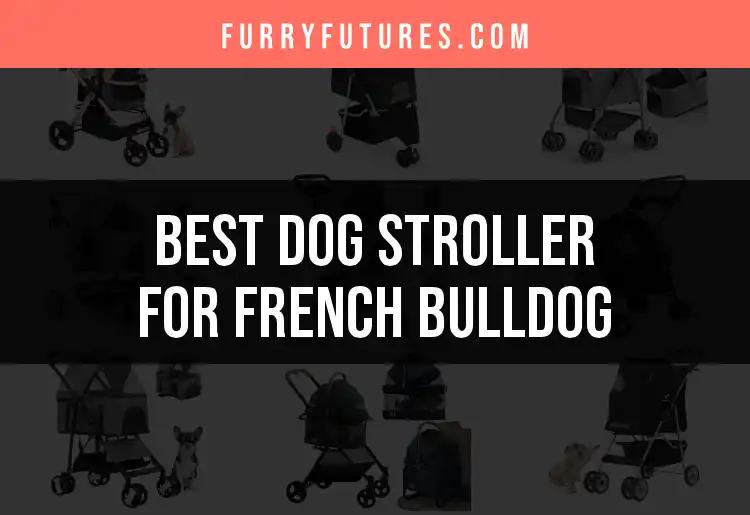 18 Best Dog Strollers for French Bulldogs: Top Picks Reviewed