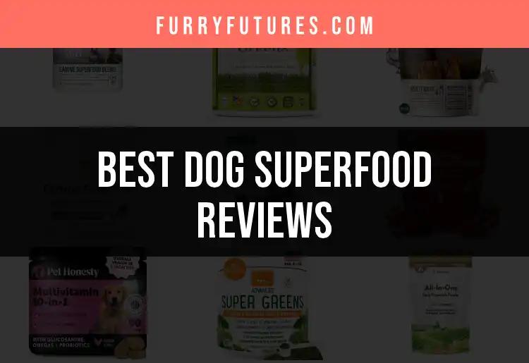 Top 10 Dog Superfood Reviews for Happy, Healthy Pups