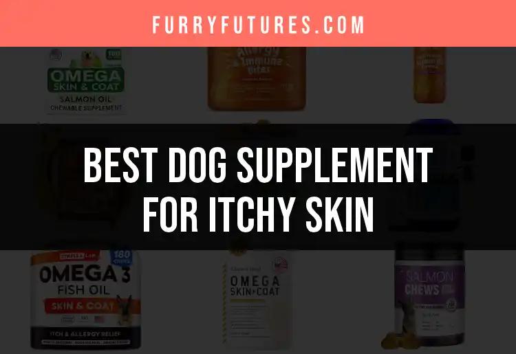 19 Best Dog Supplements for Itchy Skin Relief