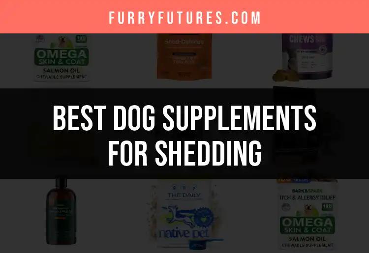 17 Best Dog Supplements for Shedding to Try Now
