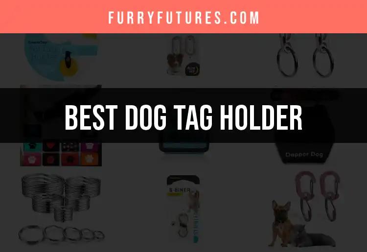 13 Top Dog Tag Holders for Style and Durability