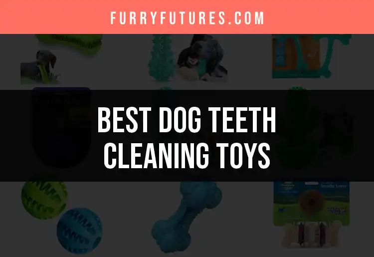 15 Best Dog Teeth Cleaning Toys for Healthy Smiles