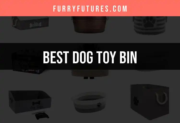 13 Dog Toy Bins That Will Transform Playtime Organization