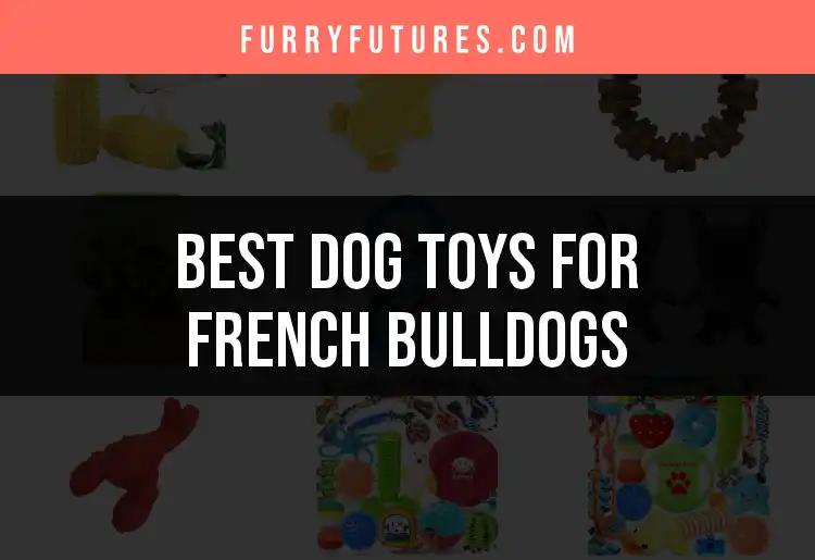 18 Must-Have Dog Toys for French Bulldogs