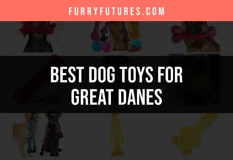 19 Best Dog Toys for Great Danes You Can Buy Today