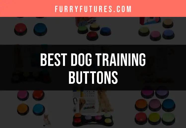 12 Top Dog Training Buttons For Effective Communication