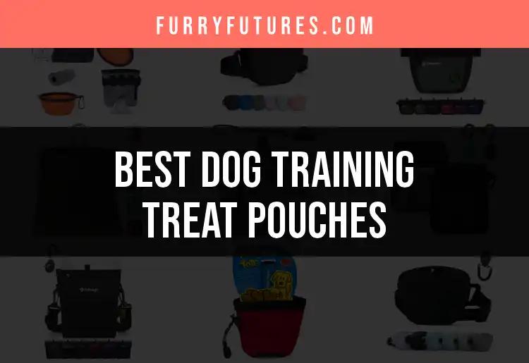 11 Must-Have Dog Training Treat Pouches for Every Trainer