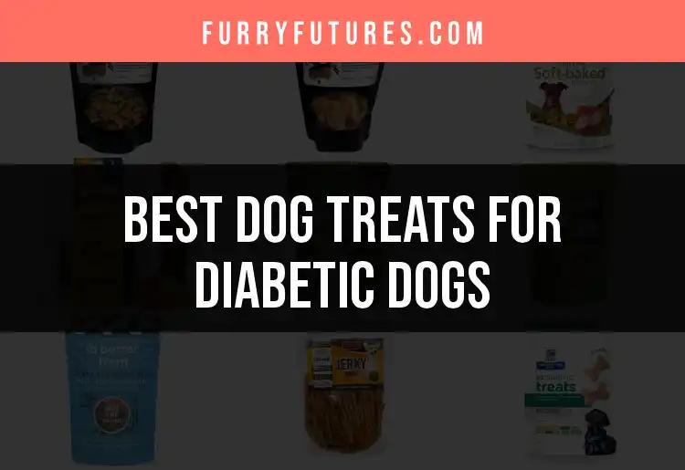 14 Best Dog Treats for Diabetic Dogs: Top Picks Revealed