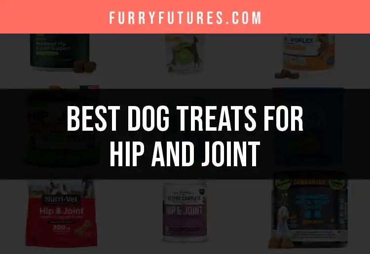 14 Top Dog Treats for Hip and Joint Health