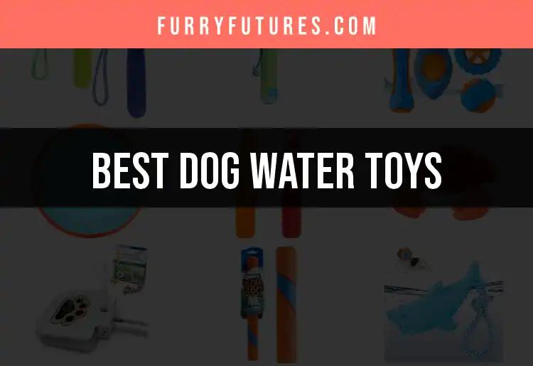 14 Best Dog Water Toys for Splashing Fun