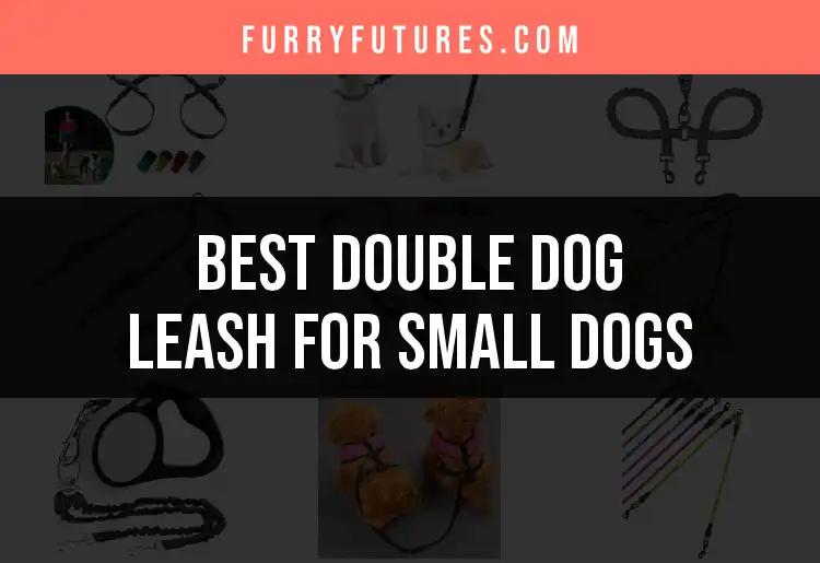 14 Best Double Dog Leashes for Small Dogs Unleashed