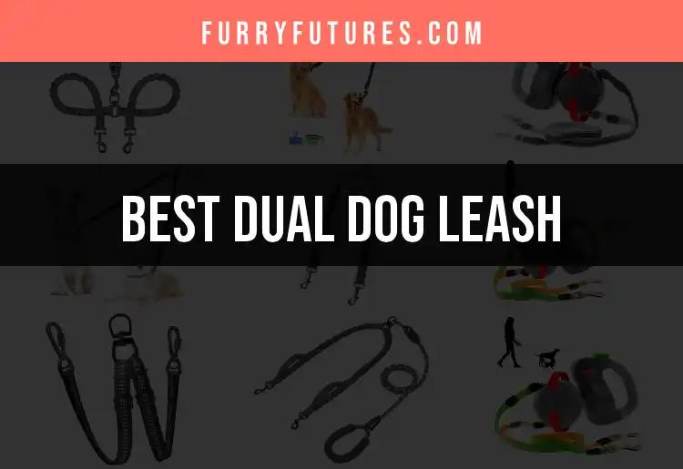 14 Best Dual Dog Leashes for Easy Walks