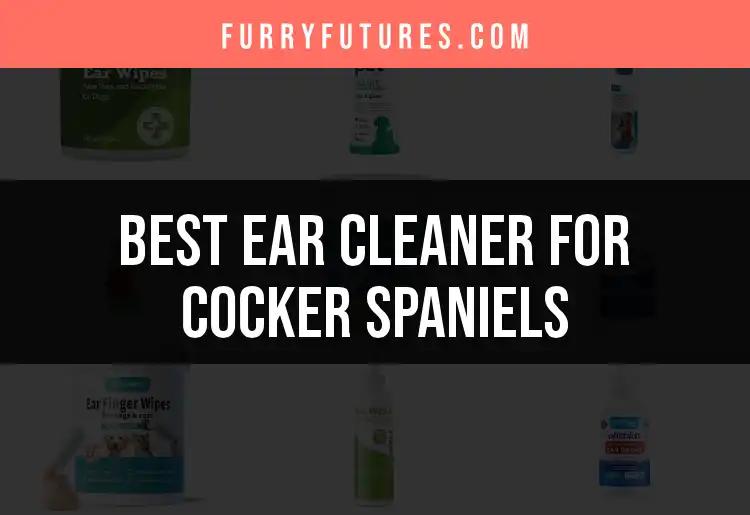 18 Best Ear Cleaners for Cocker Spaniels You'll Love