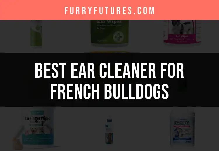 19 Best Ear Cleaners for French Bulldogs to Consider