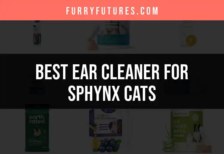 14 Best Ear Cleaners for Sphynx Cats to Keep Them Happy