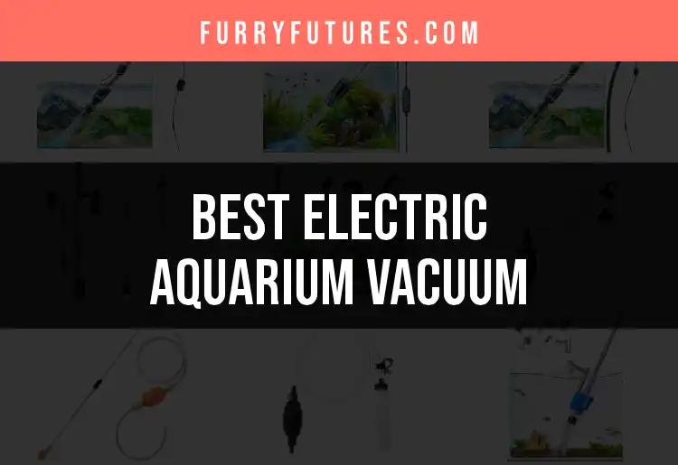 13 Best Electric Aquarium Vacuums for Easy Cleaning