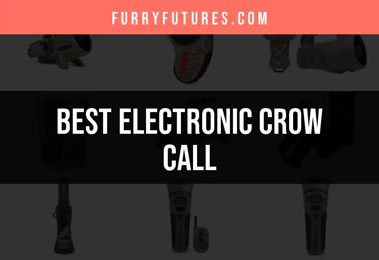 15 Best Electronic Crow Calls for Every Hunter's Toolkit