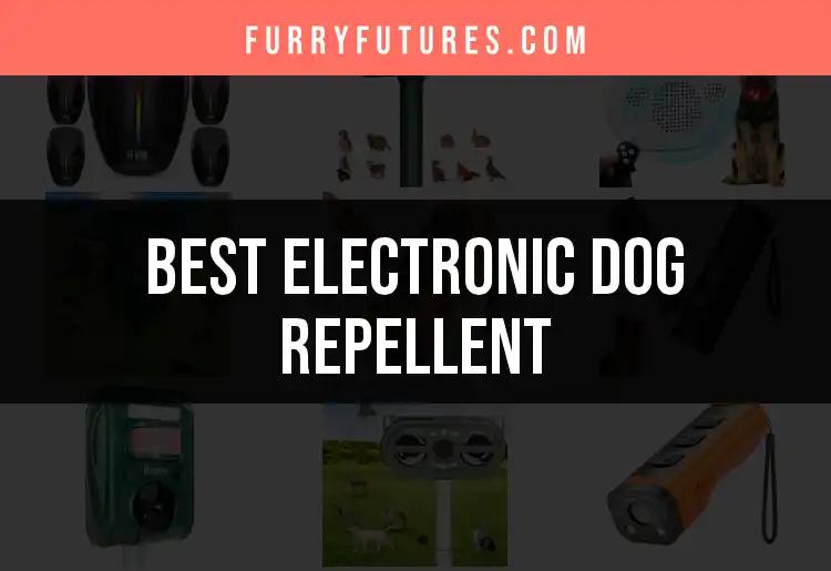 17 Best Electronic Dog Repellents for Peaceful Outdoors
