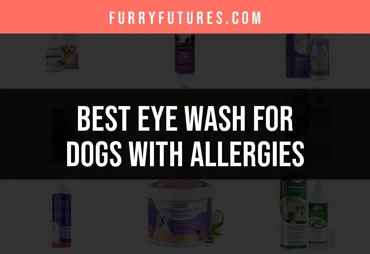 17 Best Eye Washes for Dogs with Allergies to Try Now