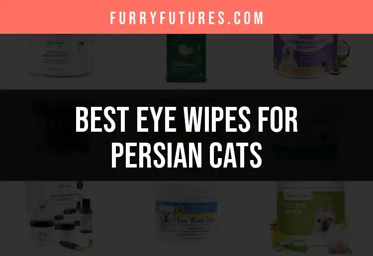 17 Best Eye Wipes For Persian Cats You Need To Know