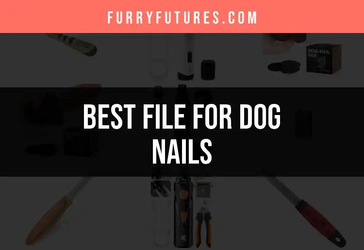 14 Best Dog Nail Files for a Smooth Pawdicure