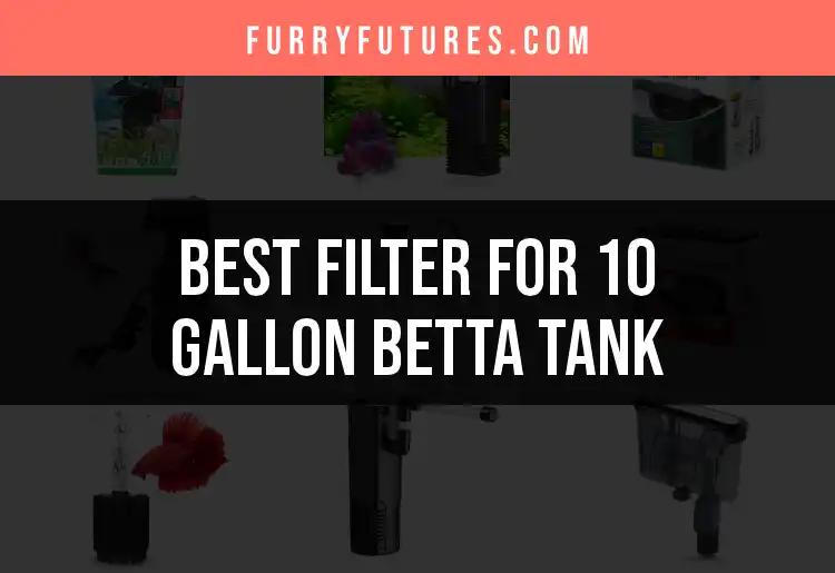 Top 13 Filters for a 10 Gallon Betta Tank