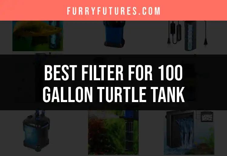 13 Top Filters for Your 100 Gallon Turtle Tank
