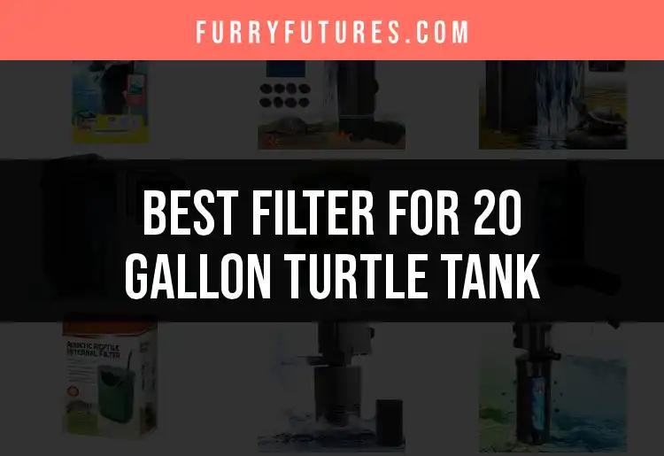 13 Best Filters for 20 Gallon Turtle Tanks Uncovered