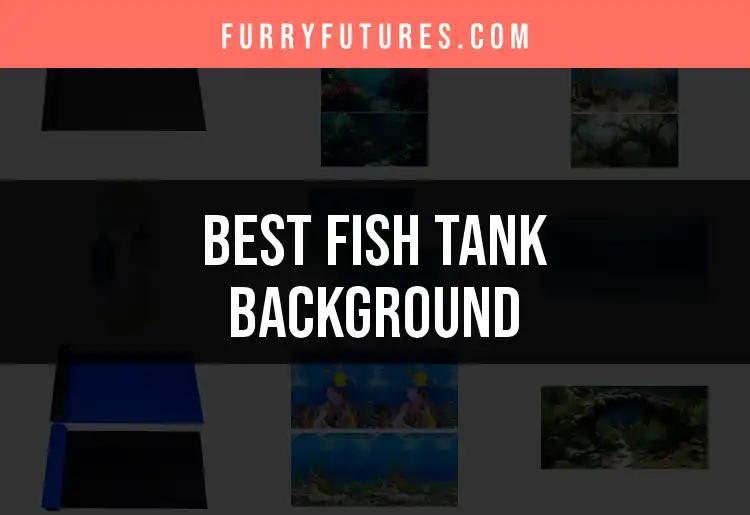11 Stunning Fish Tank Backgrounds to Transform Your Aquarium