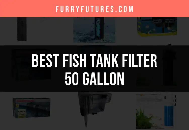 The 14 Best Fish Tank Filters for 50 Gallon Aquariums