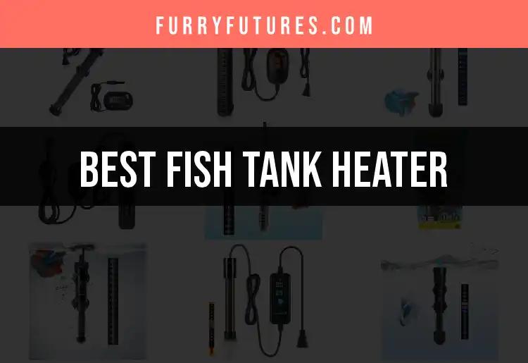 15 Best Fish Tank Heaters for Happy Aquatic Life