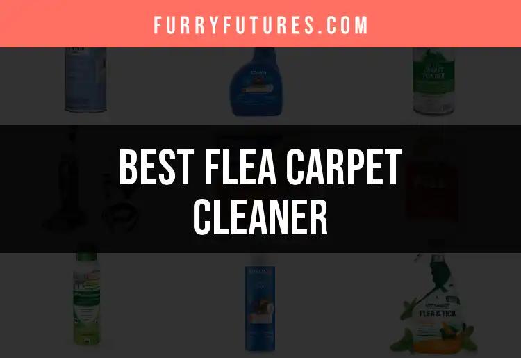 19 Best Flea Carpet Cleaners for a Spotless Home
