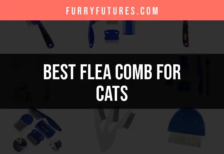 12 Best Flea Combs for Cats: Swift Solutions for Itchy Fur