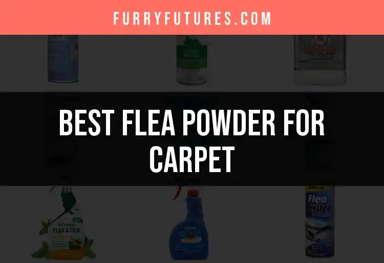 18 Best Flea Powders for Carpet to Keep Your Home Bug-Free