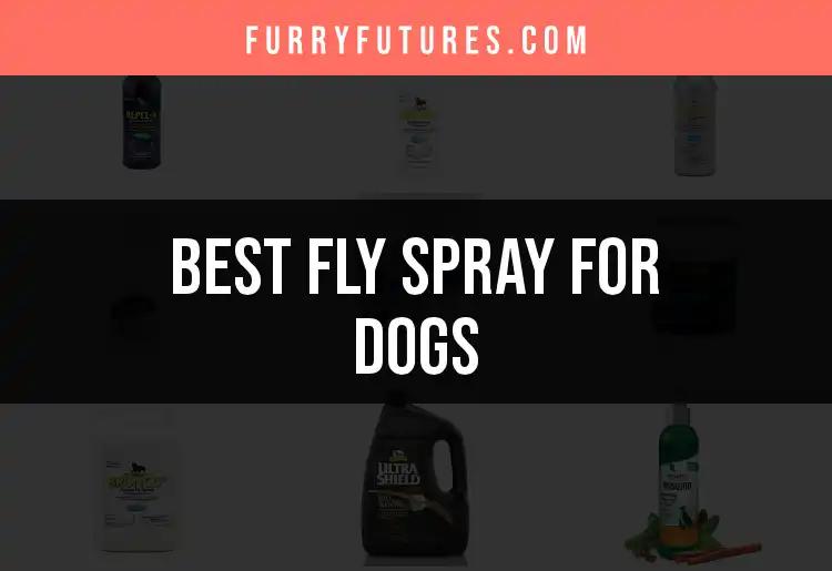 17 Best Fly Sprays for Dogs to Keep Them Comfortably Protected