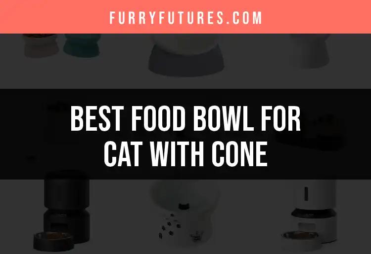 12 Best Food Bowls for Cats in Cones: Top Picks to Consider