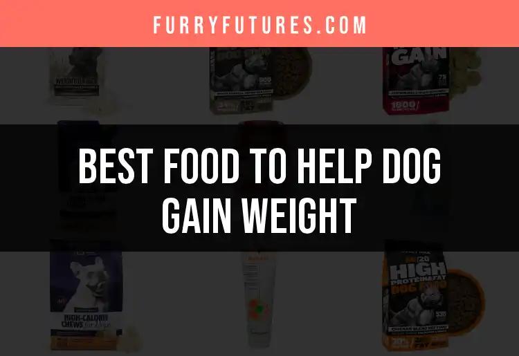 17 Best Foods to Help Your Dog Gain Weight Safely