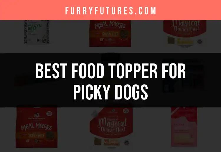 17 Food Toppers for Picky Dogs That They'll Love