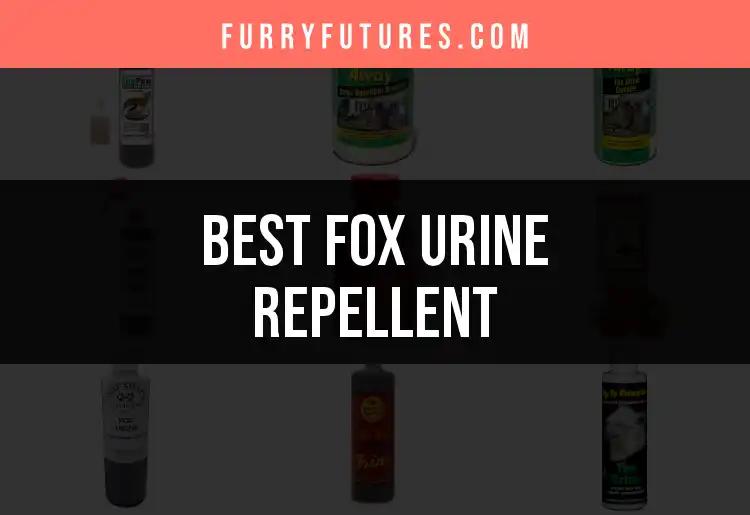 Top 10 Fox Urine Repellent Options You Can Trust