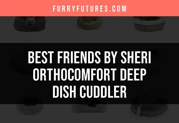 Top 10 Friends By Sheri Orthocomfort Deep Dish Cuddler Picks